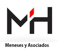 Meneses y Asociados